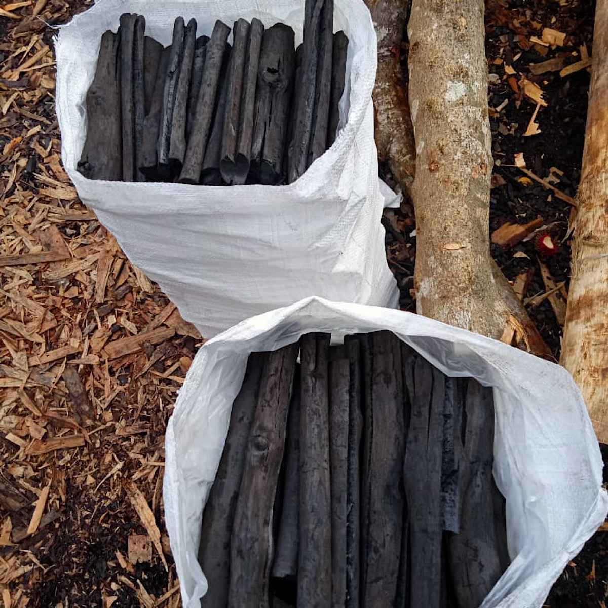 Mangrove Charcoal