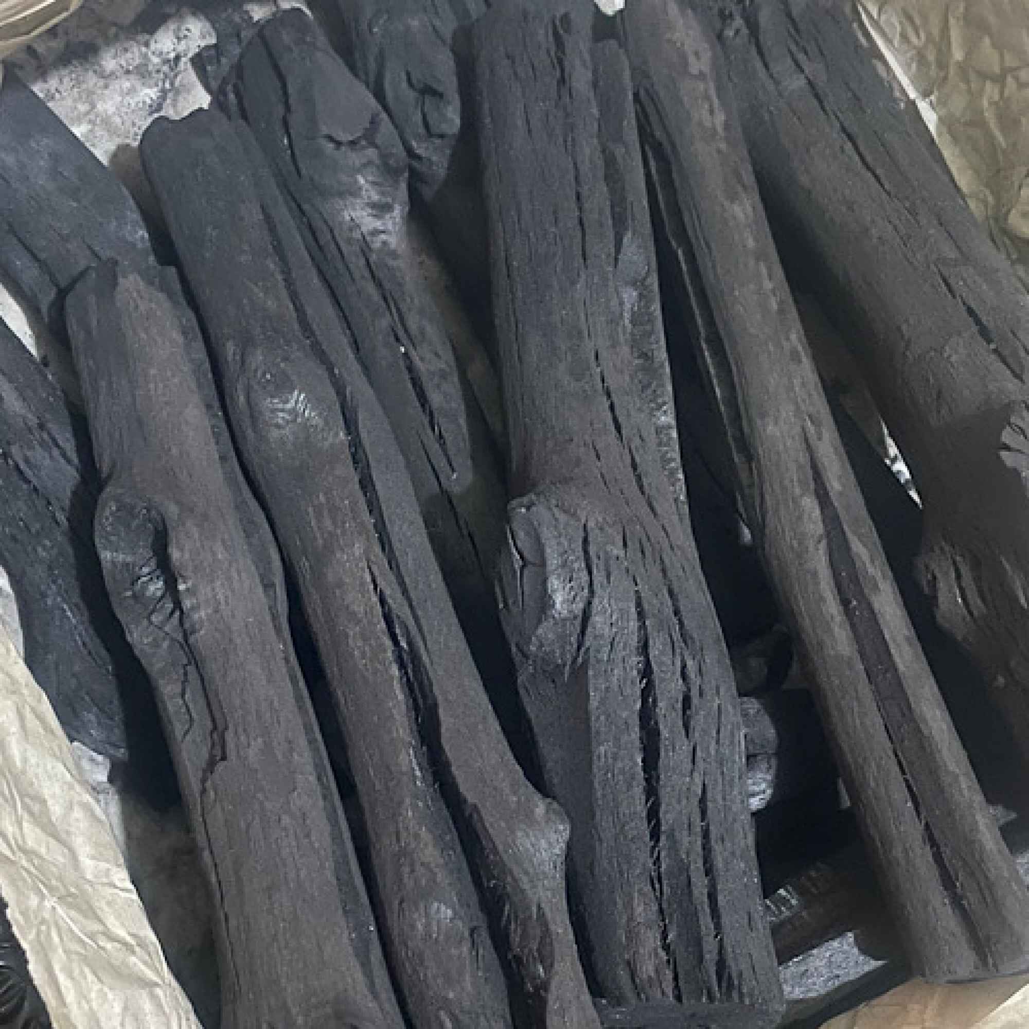 mangrove charcoal